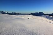 10_Bianco e blu